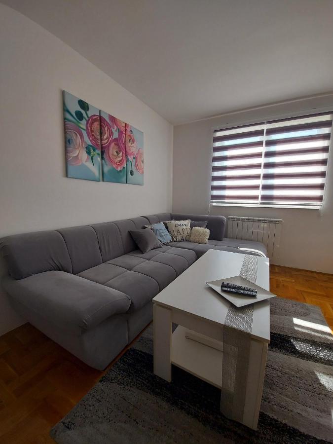 Apartman Victoria Lukavica Buitenkant foto